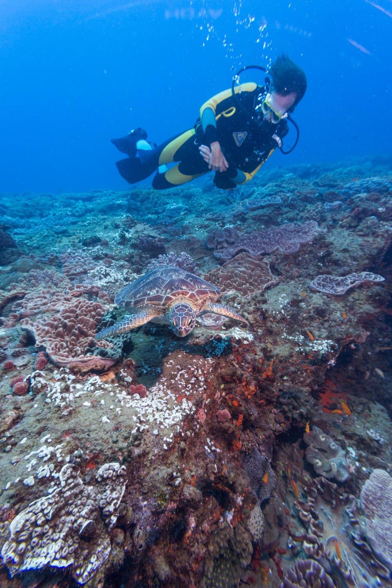 Sodwana Bay Lodge Dive & Fishing Resort Exterior foto